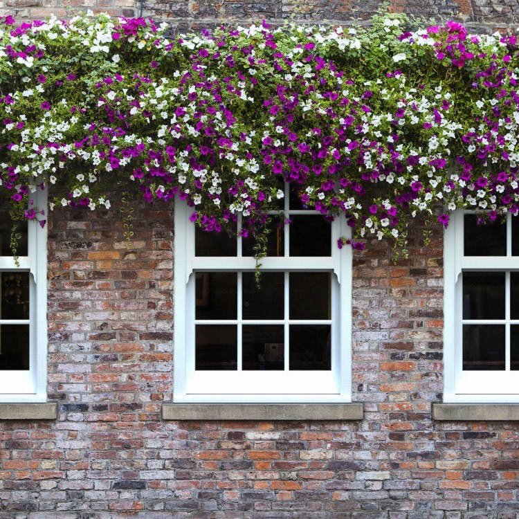 Sash Window Repairs Near Me Warwick Window Repairs